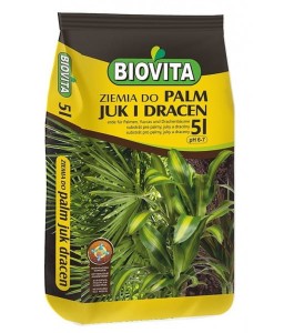 ZIEMIA DO PALM, JUK I DRACEN 5L