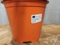 IMG_20220115_094154.jpg