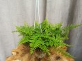 IMG_20220115_093839.jpg