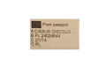 CISSUS.png