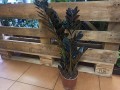 IMG_20220331_121918.jpg