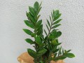 IMG_20221015_123030.jpg